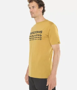 T-Shirt Homme Merino Bc Manches Courtes