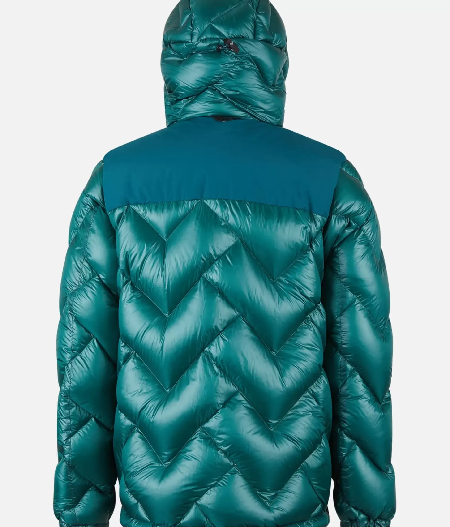 Veste Freebird Expe Down