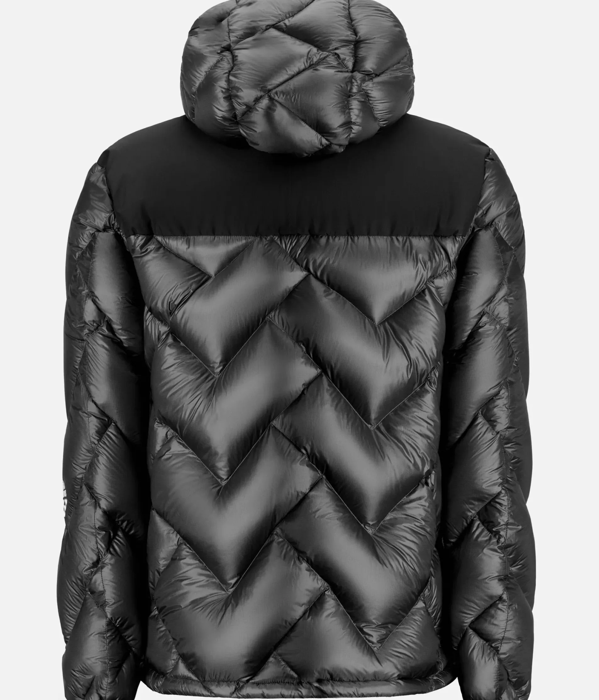 Veste Freebird Expe Down Ii